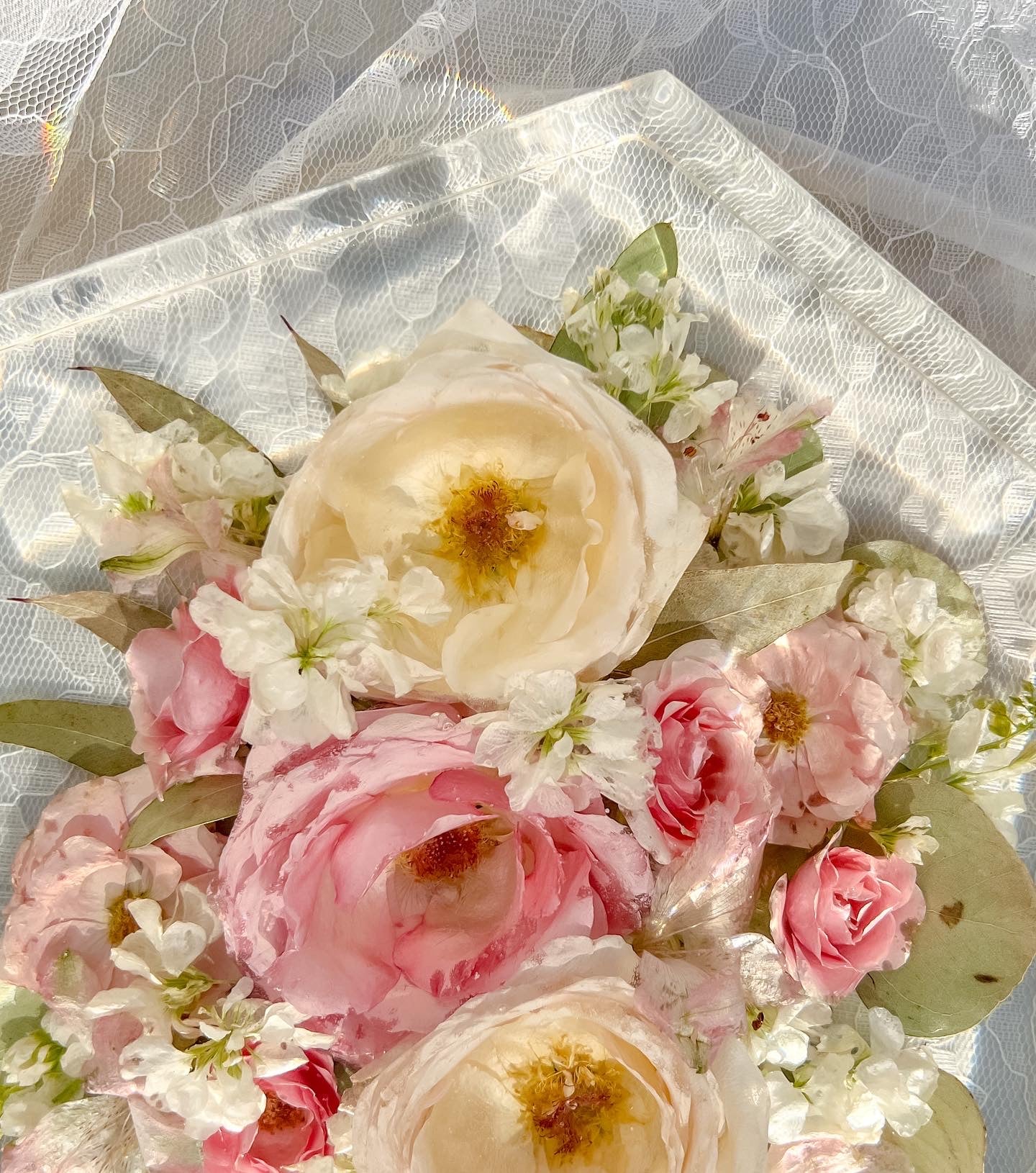 11" Hexagon Resin Flower Preservation